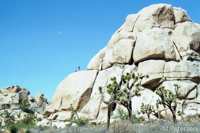 Mountain Climbing - Joshua Tree Nationalpark