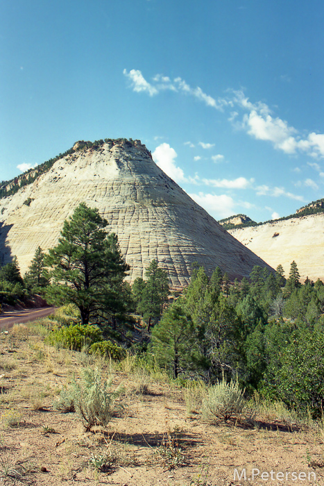 Checkerboard Mesa - Zion Nationalpark