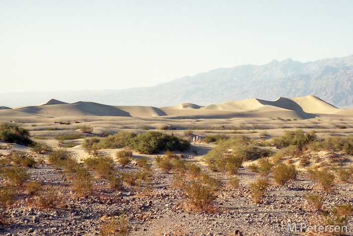 Mesquite Flat Sand Dunes - Death Valley