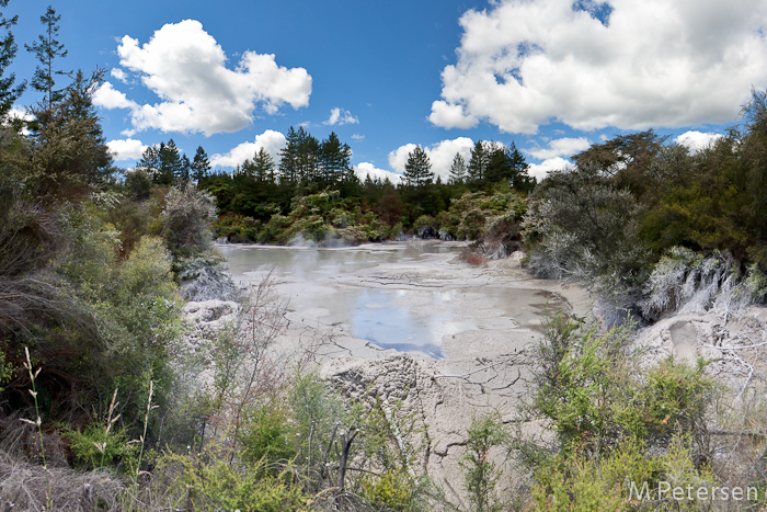 Mud Pools - Wai-O-Tapu