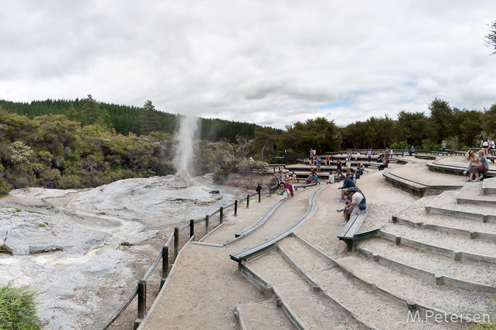 Lady Knox Geysir - Wai-O-Tapu