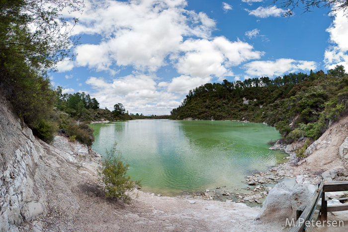 Lake Ngakoro - Wai-O-Tapu