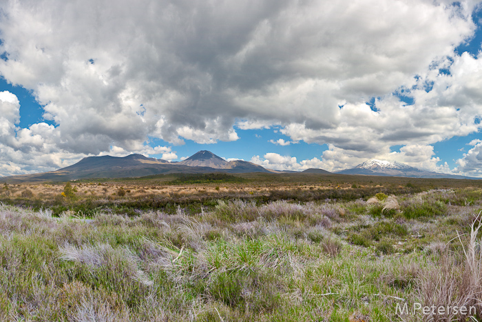 Mt. Tongariro, Mt. Ngauruhoe und Mt. Ruapehu - Tongariro National Park