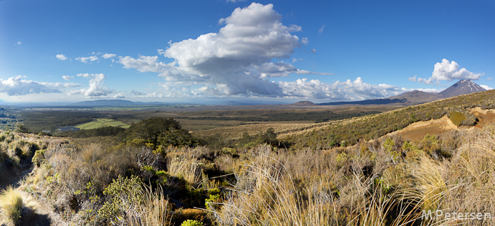 Ridge Trail - Tongariro National Park