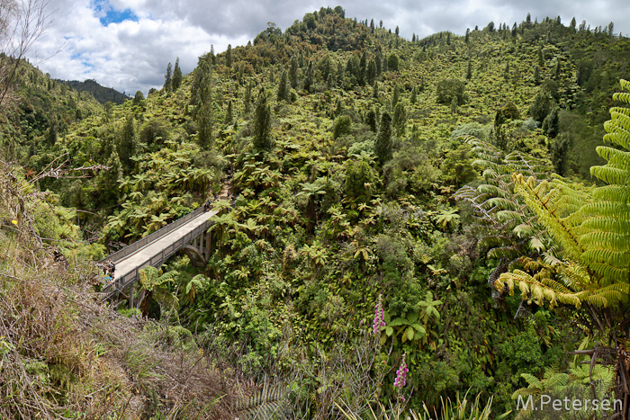 Bridge to Nowhere Jetboat Tour - Whanganui River