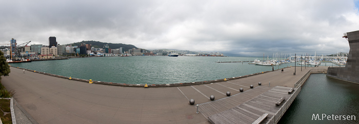 Wellington Harbour  - Wellington