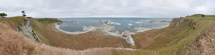 Whalers Bay - Kaikoura Peninsula Walkway