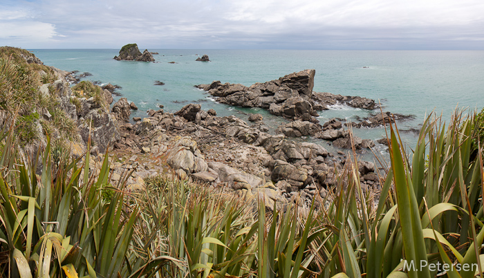 Pelzrobbenkolonie - Tauranga Bay