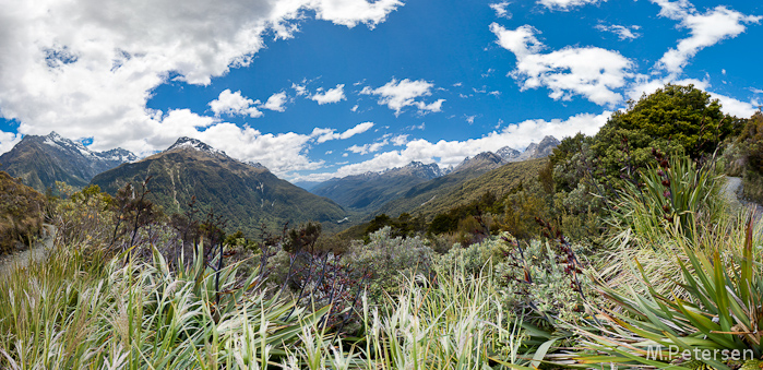 Key Summit Track - Milford Road