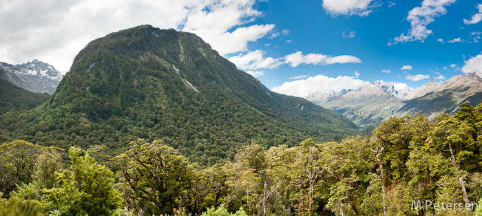 Pop's View - Milford Road