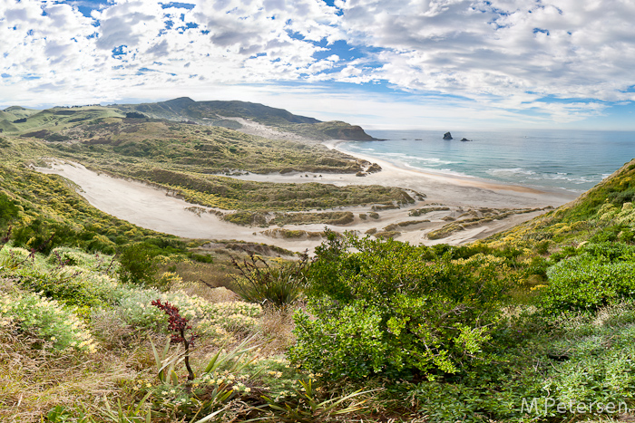 Sandfly Bay - Otago Peninsula