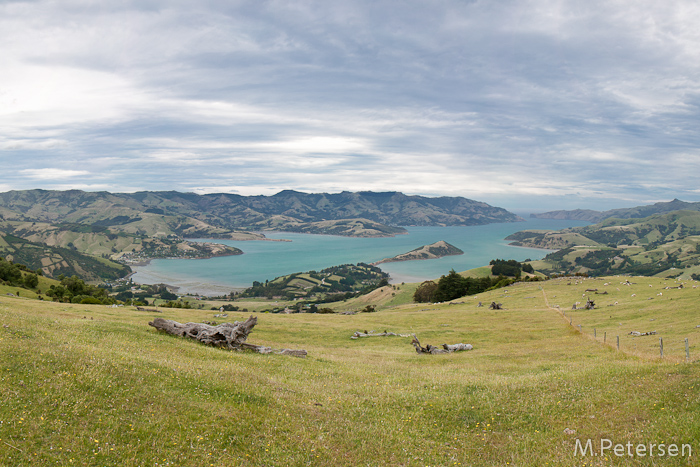 Akaroa Harbour - Banks Peninsula