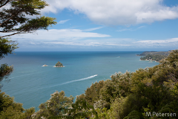 Blick vom South Head auf Pinnacle Island - Abel Tasman National Park