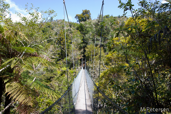 Abel Tasman Coast Track - Abel Tasman National Park