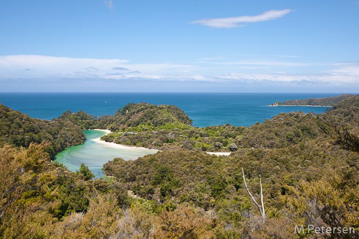 Freshman Bay - Abel Tasman National Park