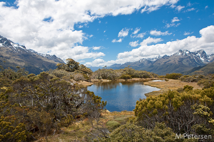 Key Summit Alpine Nature Walk - Milford Road