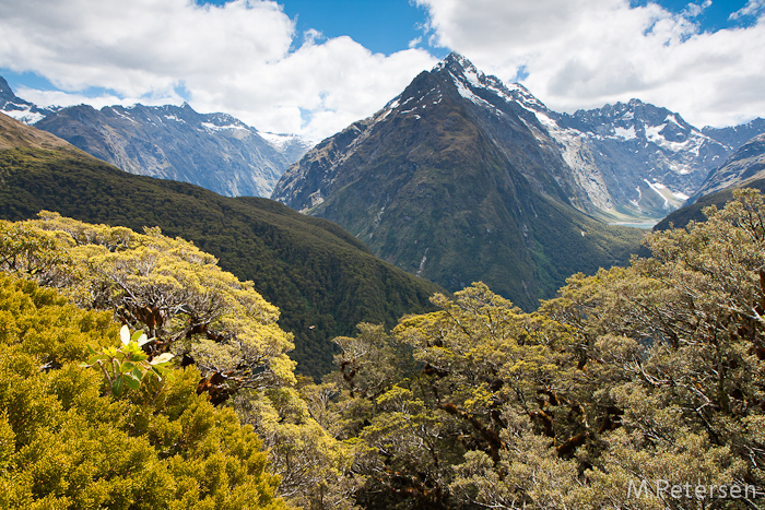 Key Summit Alpine Nature Walk - Milford Road