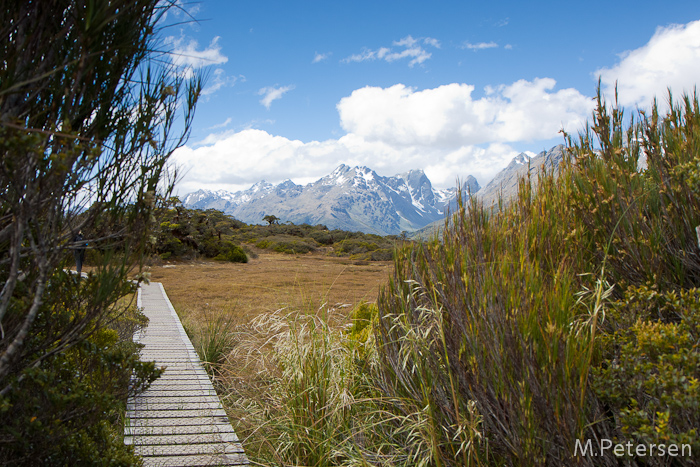 Key Summit Alpine Nature Walk - Milford Road