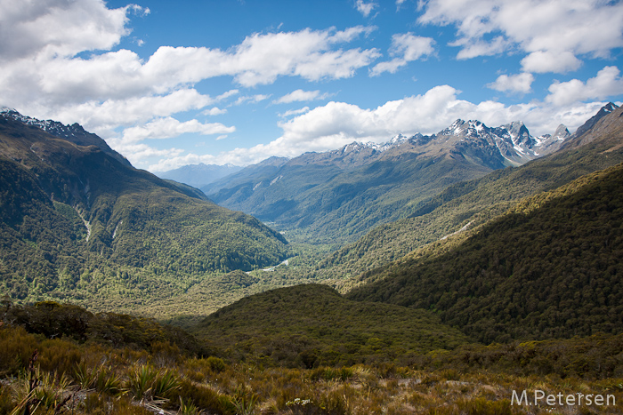 Key Summit Track - Milford Road