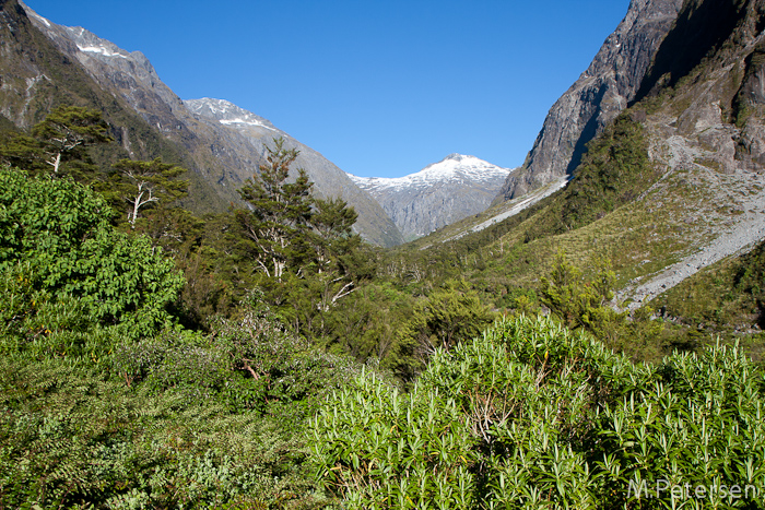 Milford Road