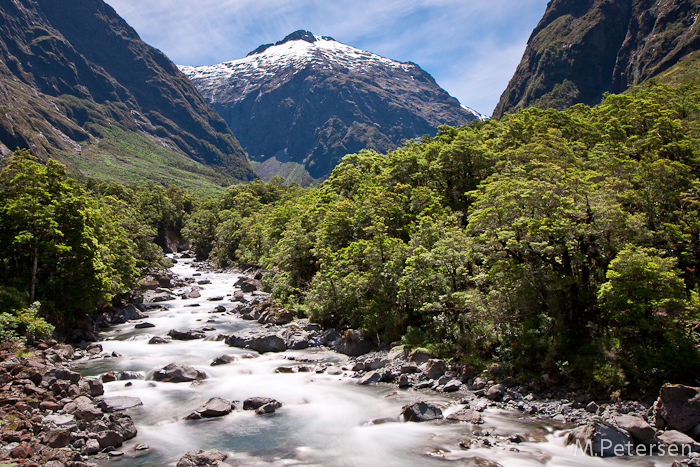 Hollyford River - Milford Road