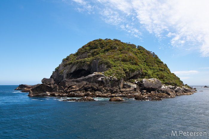 Nee Islets - Doubtful Sound