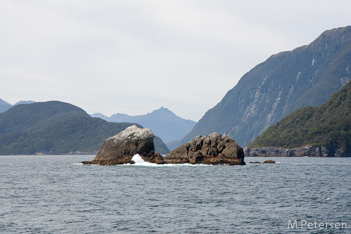 Hares Ears - Doubtful Sound