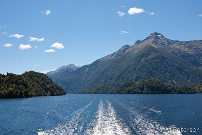 Elizabeth Island - Doubtful Sound