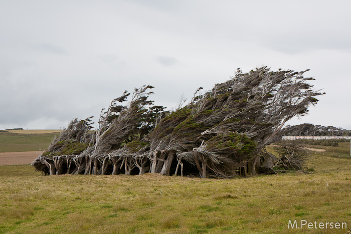 Slope Point - Catlins