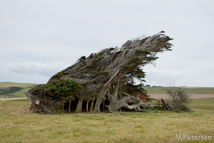 Slope Point - Catlins