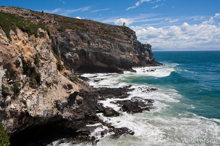 Taiaroa Head - Otago Peninsula