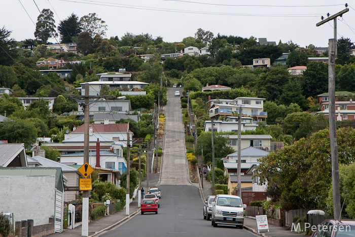 Baldwin Street - Dunedin