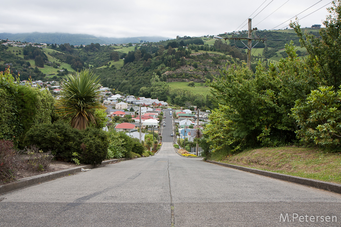 Baldwin Street - Dunedin