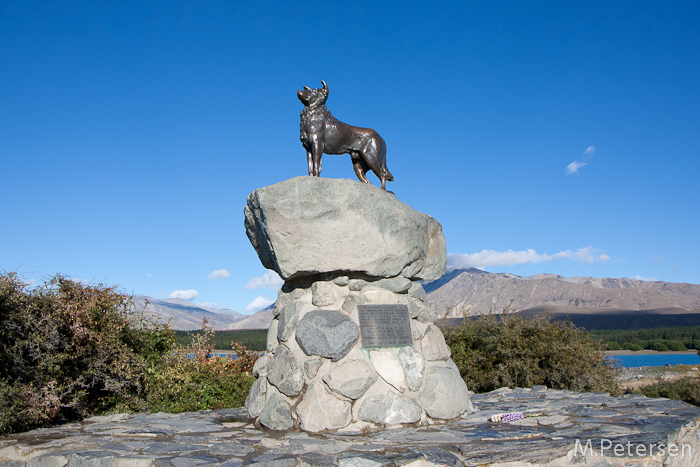 Sheep Dog Statue - Lake Tekapo