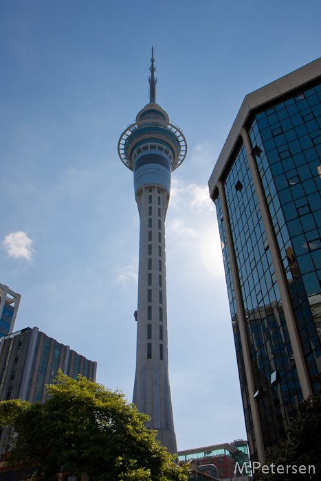 Skytower - Auckland