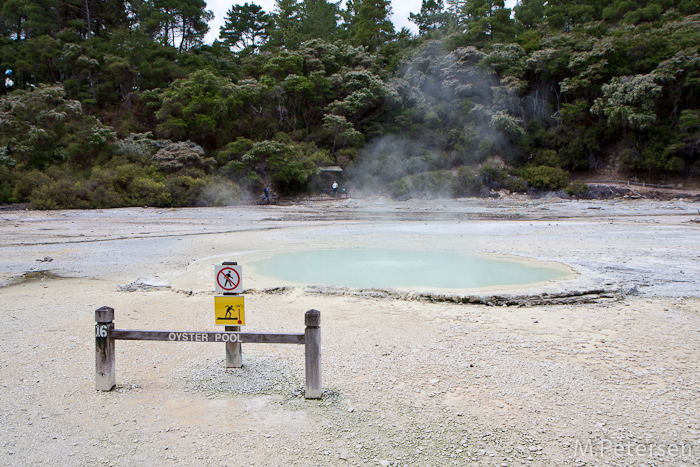 Oyster Pool - Wai-O-Tapu