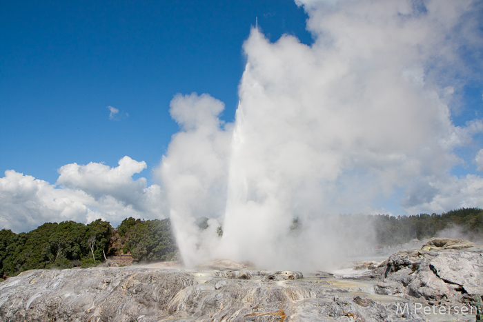 Pohutu Geysir - Te Puia