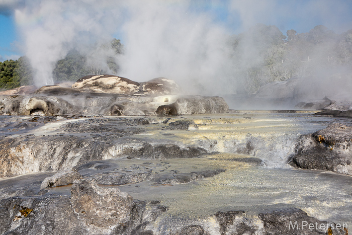 Pohutu Geysir - Te Puia