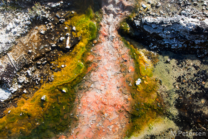 Mineralienausfällungen - Orakei Korako