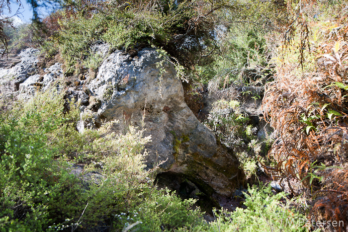 Elephant Rock - Orakei Korako