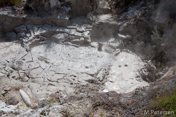 Mud Pools - Orakei Korako