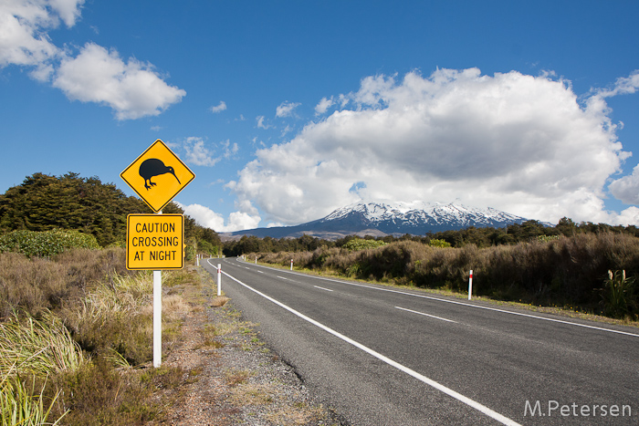 Mt. Ruapehu - Tongariro National Park