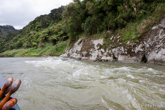 Bridge to Nowhere Jetboat Tour - Whanganui River