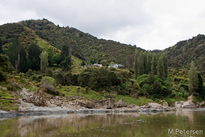 Bridge to Nowhere Jetboat Tour - Whanganui River