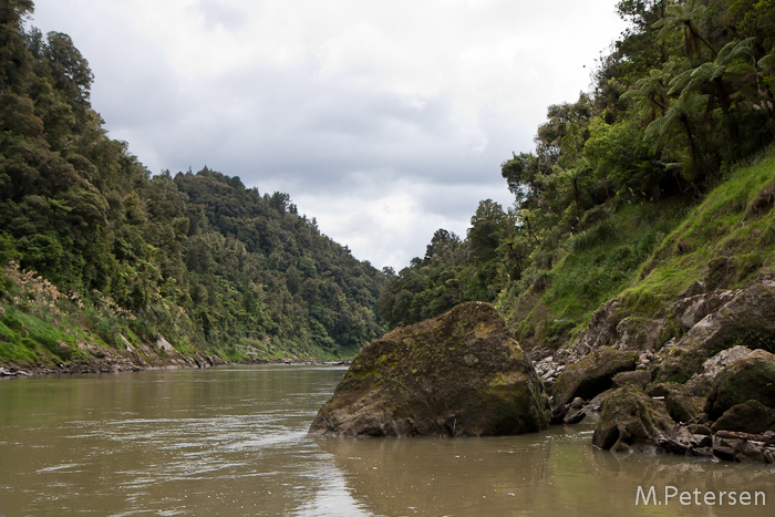 Bridge to Nowhere Jetboat Tour - Whanganui River