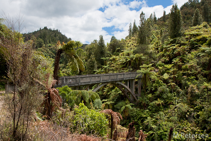 Bridge to Nowhere Jetboat Tour - Whanganui River