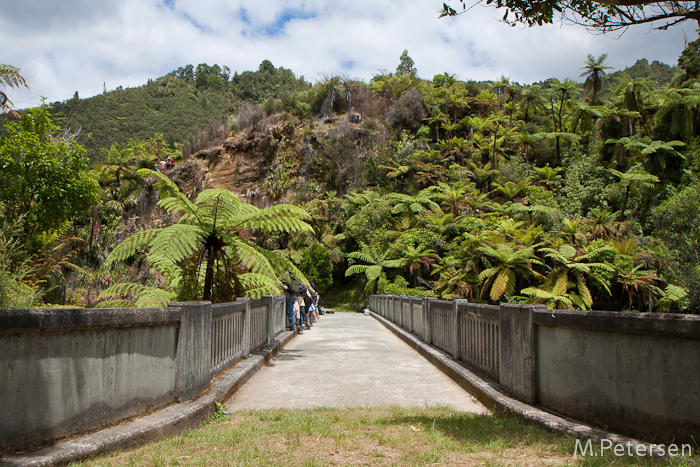 Bridge to Nowhere Jetboat Tour - Whanganui River