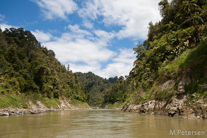 Bridge to Nowhere Jetboat Tour - Whanganui River