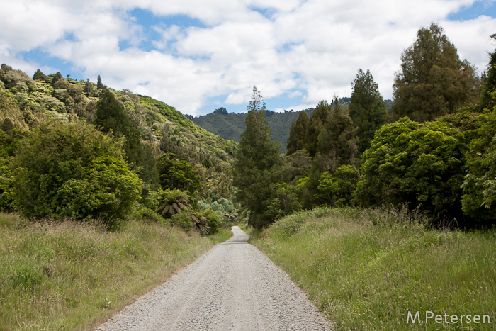 Whanganui River Road - Whanganui River