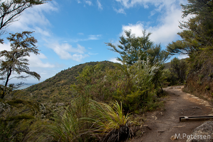 Abel Tasman Coast Track - Abel Tasman National Park